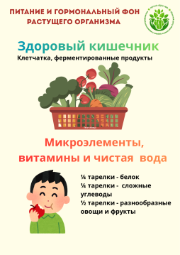 Питание и гормональный фон растущего организма - 1 3